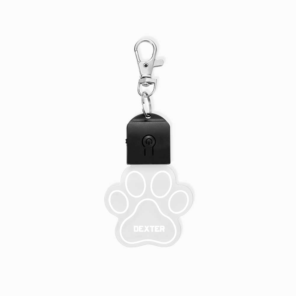 PupStyle | Custom - Name LED DogTag - PupStyle