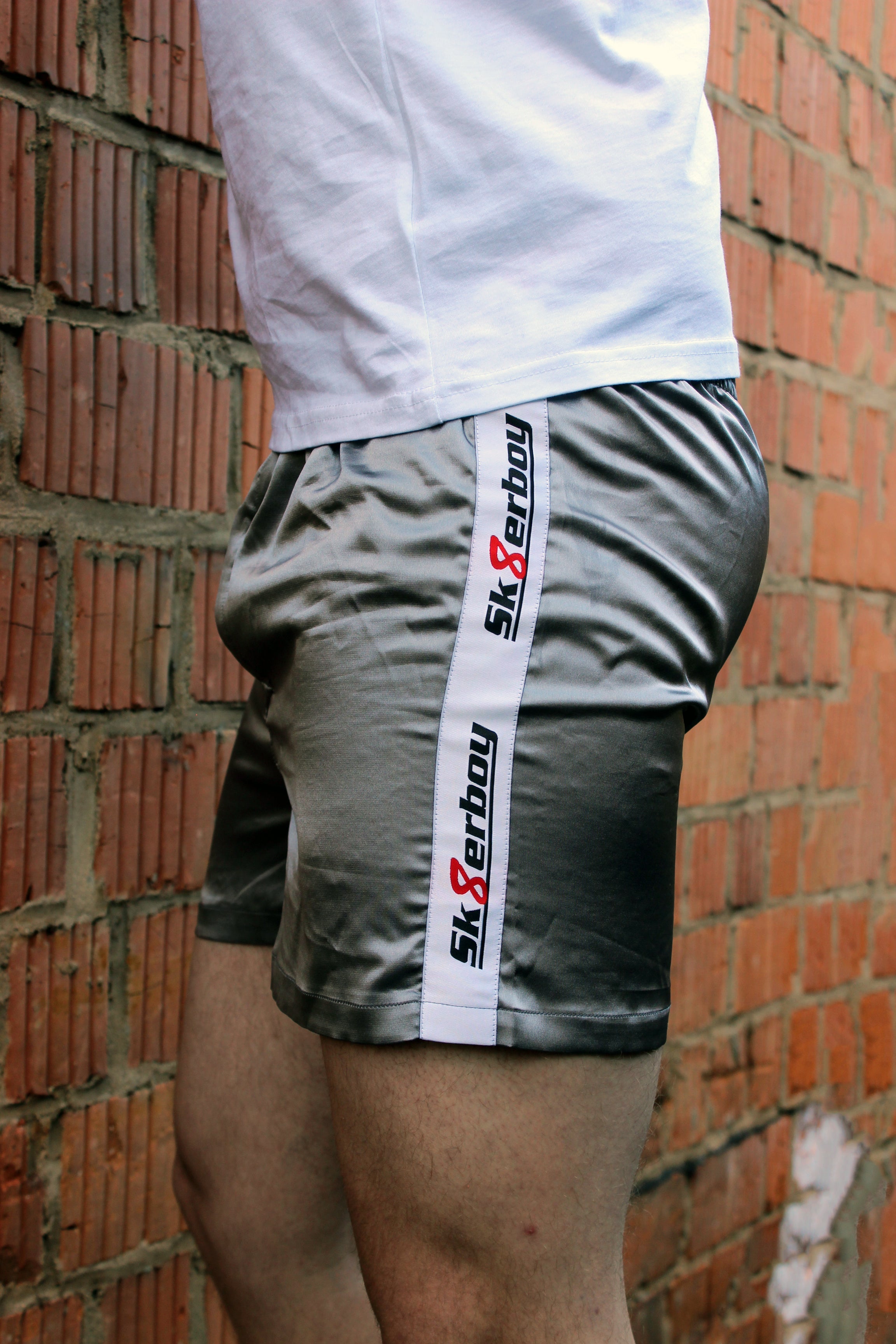 Sk8erboy® Shiny Boxershorts silber