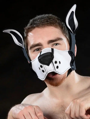 Mr-S-Leather | Custom Neo K9 Muzzle Kit | Hood-Studio Editor Mr-S-Leather