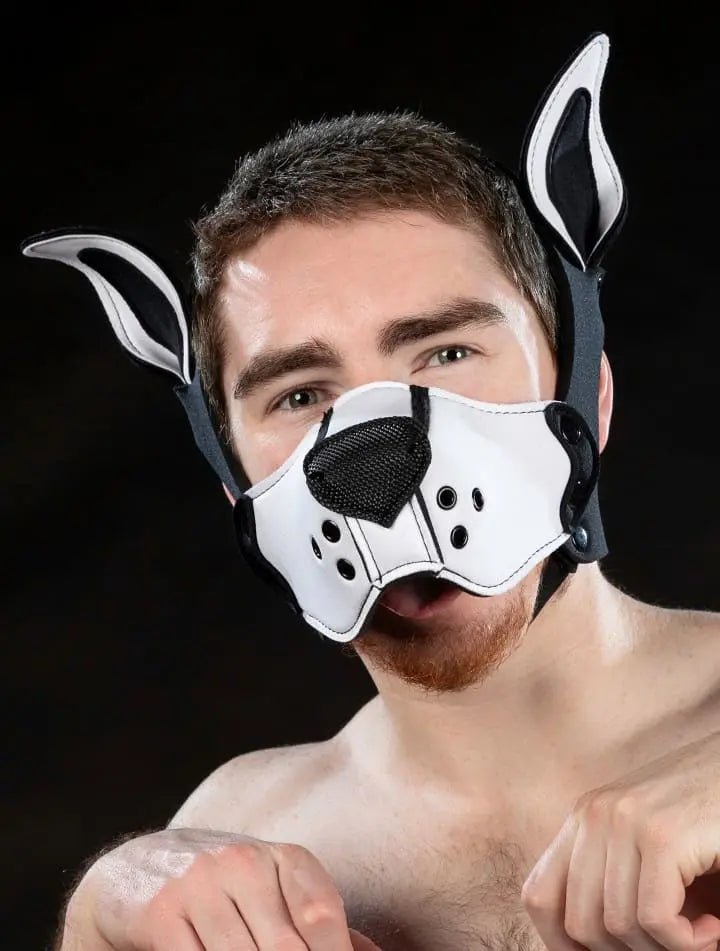 Mr-S-Leather | Custom Neo K9 Muzzle Kit | Hood-Studio Editor Mr-S-Leather