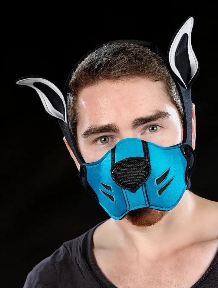 Mr-S-Leather | Custom Neo K9 Muzzle Kit | Hood-Studio Editor Mr-S-Leather