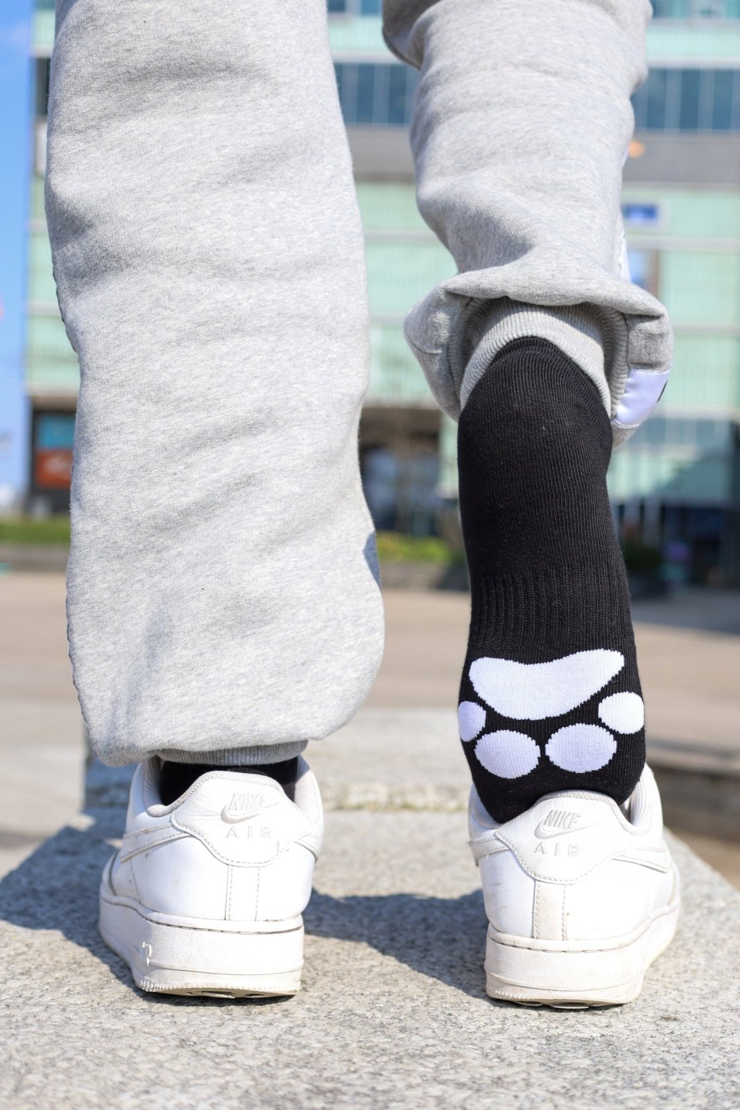 Sk8erboy® PUPPY Short Crew Socks schwarz Sk8erboy®